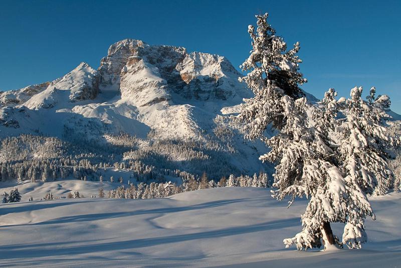 Alpin Natur Hotel Bruckele Брайес  Экстерьер фото